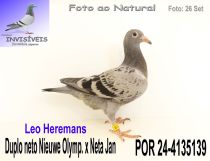 POR 24-4135139